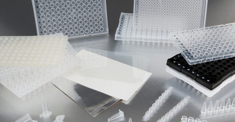 PCR Products
